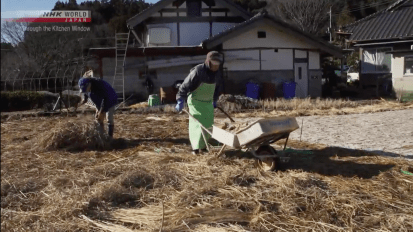 Through the Kitchen Window: Shimi-konnyaku,&nbsp;Ibaraki